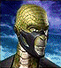 reptile